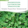 Winterpostelein | BIO Salat von Sativa Spinatgemüse von Sativa samen saatgut demeter kaufen kompost und liebe online shop