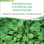 Winterpostelein | BIO Salat von Sativa Spinatgemüse von Sativa samen saatgut demeter kaufen kompost und liebe online shop