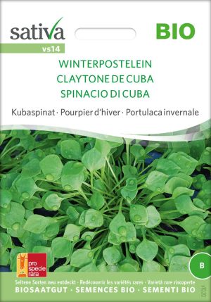 Winterpostelein | BIO Salat von Sativa Spinatgemüse von Sativa samen saatgut demeter kaufen kompost und liebe online shop