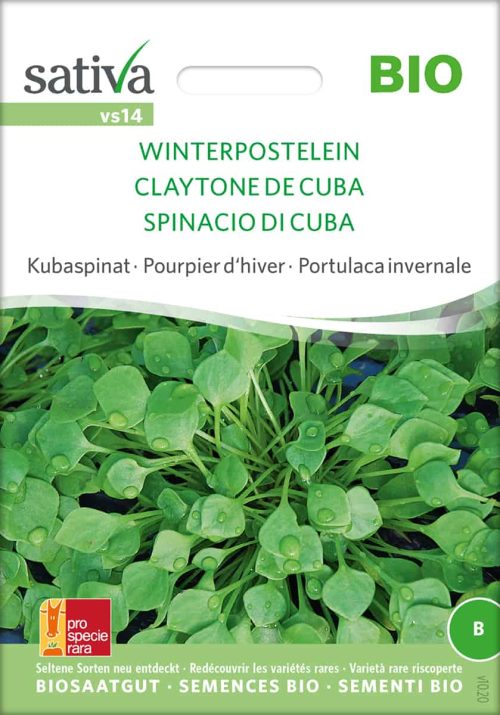Winterpostelein | BIO Salat von Sativa SpinatgemÃ¼se von Sativa samen saatgut demeter kaufen kompost und liebe online shop