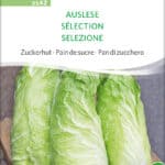 zuckerhut auslese,Saatgut,Bio Sativa kompost und liebe kaufen