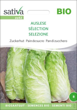 zuckerhut auslese,Saatgut,Bio Sativa kompost und liebe kaufen