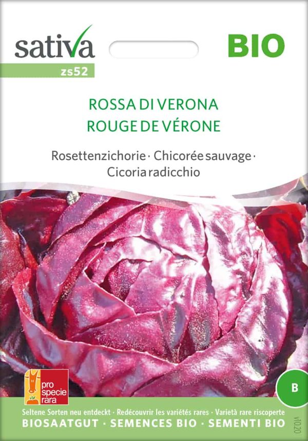 rossa die verona salat Rosettenzichorie chicoree Saatgut,Bio Sativa kompost und liebe kaufen alte sorten samenfest online shop garten selbstversorger