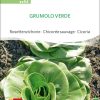 Grumolo Verde salat Rosettenzichorie chicoree Saatgut,Bio Sativa kompost und liebe kaufen alte sorten samenfest online shop garten selbstversorger