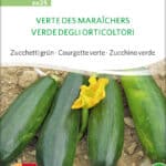 Vert Des Maraîchers maraichers zucchini samen bio saatgut sativa kompost&liebe kaufen online shop