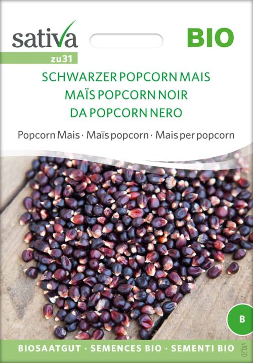 schwarzer popcorn mais , samen bio saatgut sativa kompost&liebe kaufen online shop