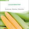 Golden Bantam zuckermais, samen bio saatgut sativa kompost&liebe kaufen online shop