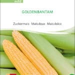 Golden Bantam zuckermais, samen bio saatgut sativa kompost&liebe kaufen online shop