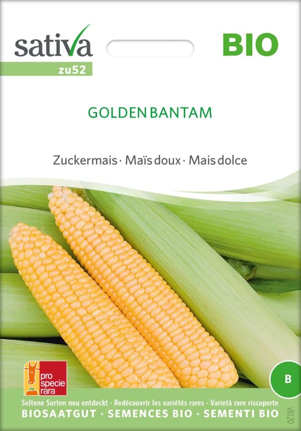 Golden Bantam zuckermais, samen bio saatgut sativa kompost&liebe kaufen online shop