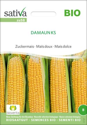 Damaun zuckermais, samen bio saatgut sativa kompost&liebe kaufen online shop