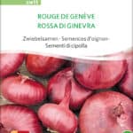 zwiebel Rouge De Genéve freiland samen bio saatgut sativa kompost&liebe kaufen online shop