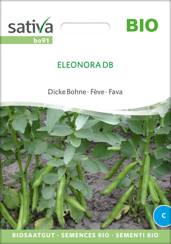 Eleonora,dicke bohne, puffbohne, saubohne, bohne , bio samen, saatgut , kaufen, sativa, biosamen