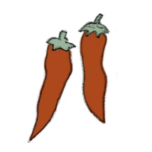 Chili samen bio saatgut sativa kompost&liebe kaufen online shop