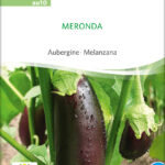 meronda | Bio Aubergine von Sativa Saatgut samen bio saatgut sativa kompost&liebe kaufen online shop