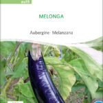 Melonga Aubergine samen bio saatgut sativa kompost&liebe kaufen online shop