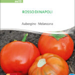Rosso Di Napoli | Bio Aubergine von Sativa Saatgut samen bio saatgut sativa kompost&liebe kaufen online shop