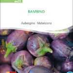 Bambino | Bio Aubergine von Sativa Saatgut samen bio saatgut sativa kompost&liebe kaufen online shop