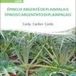 Epineux Argente De P. Palais cardy samen bio saatgut sativa kompost&liebe kaufen online shop