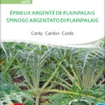 Epineux Argente De P. Palais cardy samen bio saatgut sativa kompost&liebe kaufen online shop