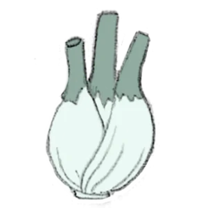 samen bio saatgut Fenchelkompost&liebe kaufen online shop