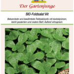 gartenjunge Feldsalat Vit samen bio saatgut gartenjunge kompost&liebe kaufen online shop