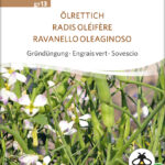 Ölrettich Gründüngung Gründdünger samen bio saatgut sativa kompost&liebe kaufen online shop