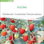 Pulcina Datteltomate samen bio saatgut sativa kompost&liebe kaufen online shop