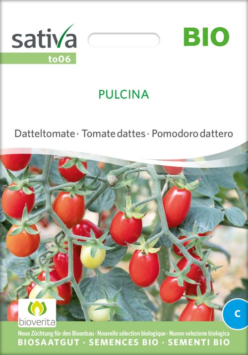 Pulcina Datteltomate samen bio saatgut sativa kompost&liebe kaufen online shop