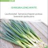 Ishikura Long White Winterheckenzwiebel lauchzwiebel freiland samen bio saatgut sativa kompost&liebe kaufen online shop