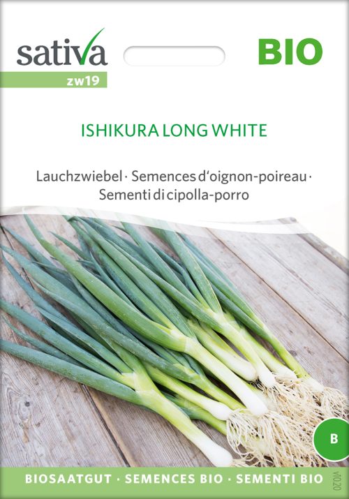Ishikura Long White Winterheckenzwiebel lauchzwiebel freiland samen bio saatgut sativa kompost&liebe kaufen online shop