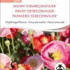 mohn von reconvilier einjÃ¤hrige blumen pro specie rara samen bio saatgut sativa kompost&liebe kaufen online shop
