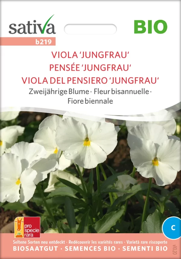 Viola "Jungfrau" zweijährige blumen pro specie rara samen bio saatgut sativa kompost&liebe kaufen online shop