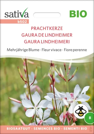 prachtkerze mehrjäjrige blumen pro specie rara samen bio saatgut sativa kompost&liebe kaufen online shop