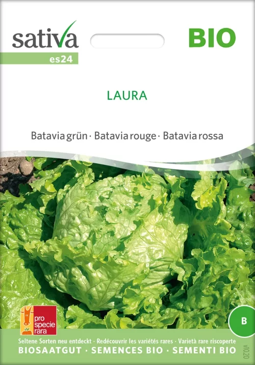 Laura Batavia Salat pro specie rara samen bio saatgut sativa kompost&liebe kaufen online shop