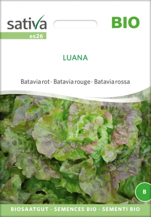Luana Batavia Salat pro specie rara samen bio saatgut sativa kompost&liebe kaufen online shop