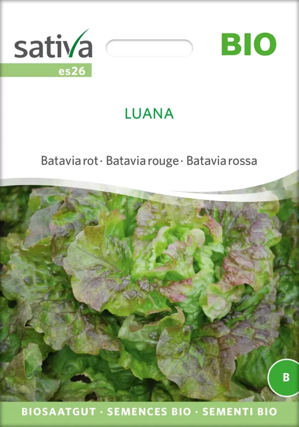 Luana Batavia Salat pro specie rara samen bio saatgut sativa kompost&liebe kaufen online shop