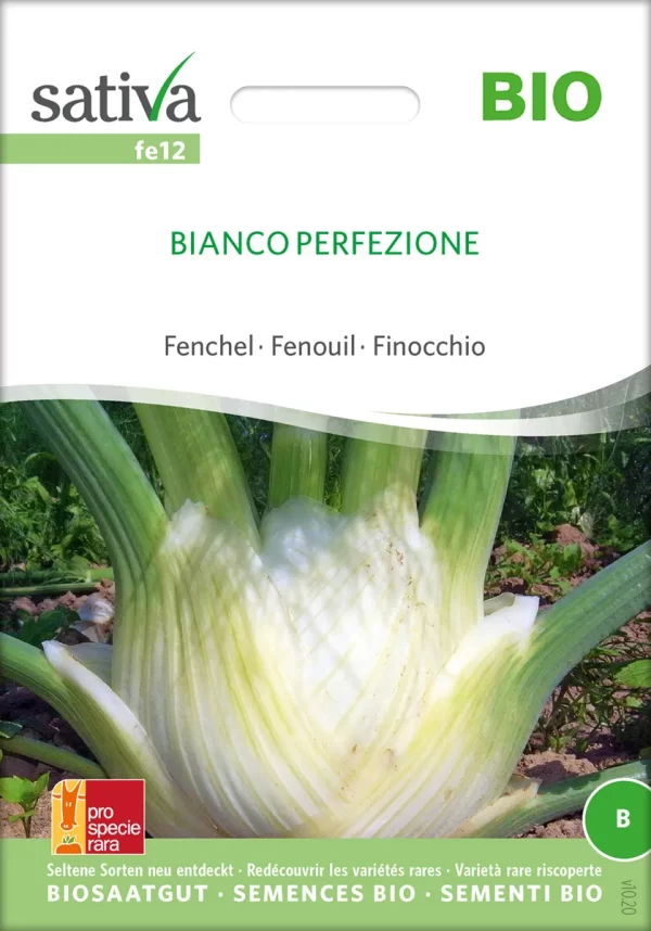 Knollenfenchel, Fenchel, Bianco Perfezione pro specie rara samen bio saatgut sativa kompost&liebe kaufen online shop