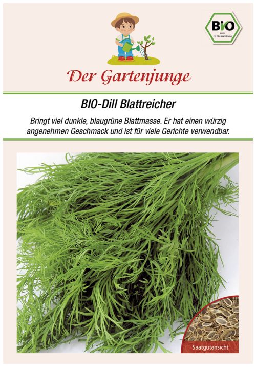 Dill Blattreicher genoveser samen bio saatgut gartenjunge kompost&liebe kaufen online shop Gartenjunge bio