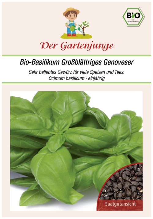 Basilikum genoveser samen bio saatgut gartenjunge kompost&liebe kaufen online shop Gartenjunge bio