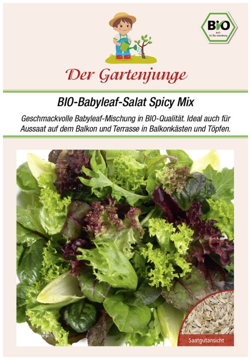 Analena Kopfsalat samen bio saatgut gartenjunge kompost&liebe kaufen online shop Gartenjunge bio