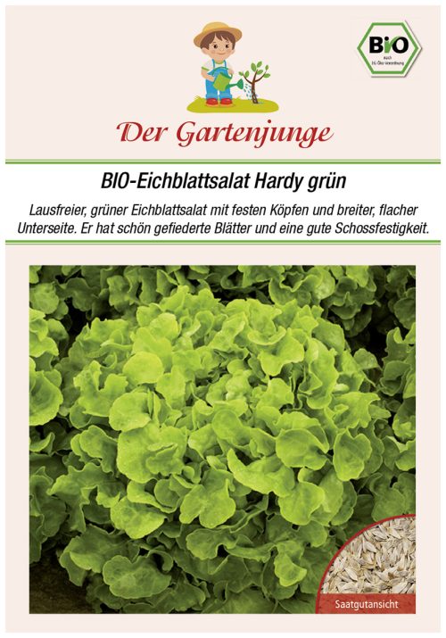 Eichblattsalat Hardy grÃ¼n samen bio saatgut gartenjunge kompost&liebe kaufen online shop Gartenjunge bio