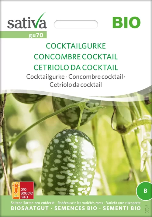 Cocktailgurke samen, saatgut, bio,biosamen,biosaatgut,seltene sorte