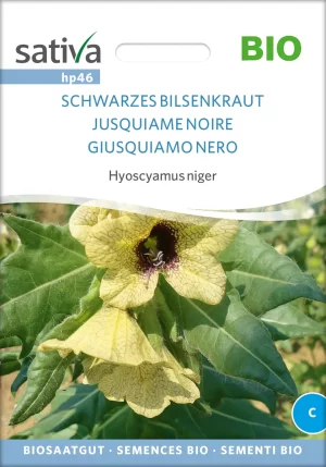 Schwarzes Bilsenkraut Heilkraut Heilkräuter Heilpflanzen Gründüngung Gründünger samen bio saatgut sativa kompost&liebe kaufen online shop