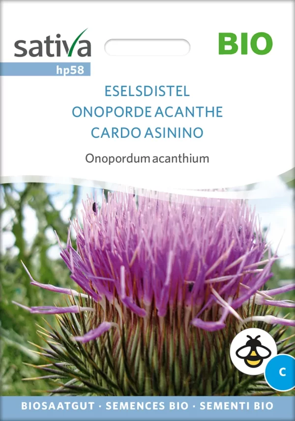 Eselsdistel Heilkraut Heilkräuter Heilpflanzen Gründüngung Gründünger samen bio saatgut sativa kompost&liebe kaufen online shop