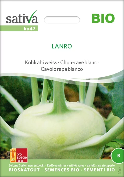 kohlrabi Lanro pro specie rara samen bio saatgut sativa kompost&liebe kaufen online shop
