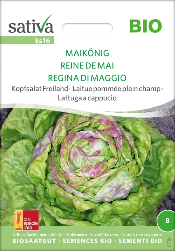 Maikönig Freiland Kopfsalat pro specie rara samen bio saatgut sativa kompost&liebe kaufen online shop
