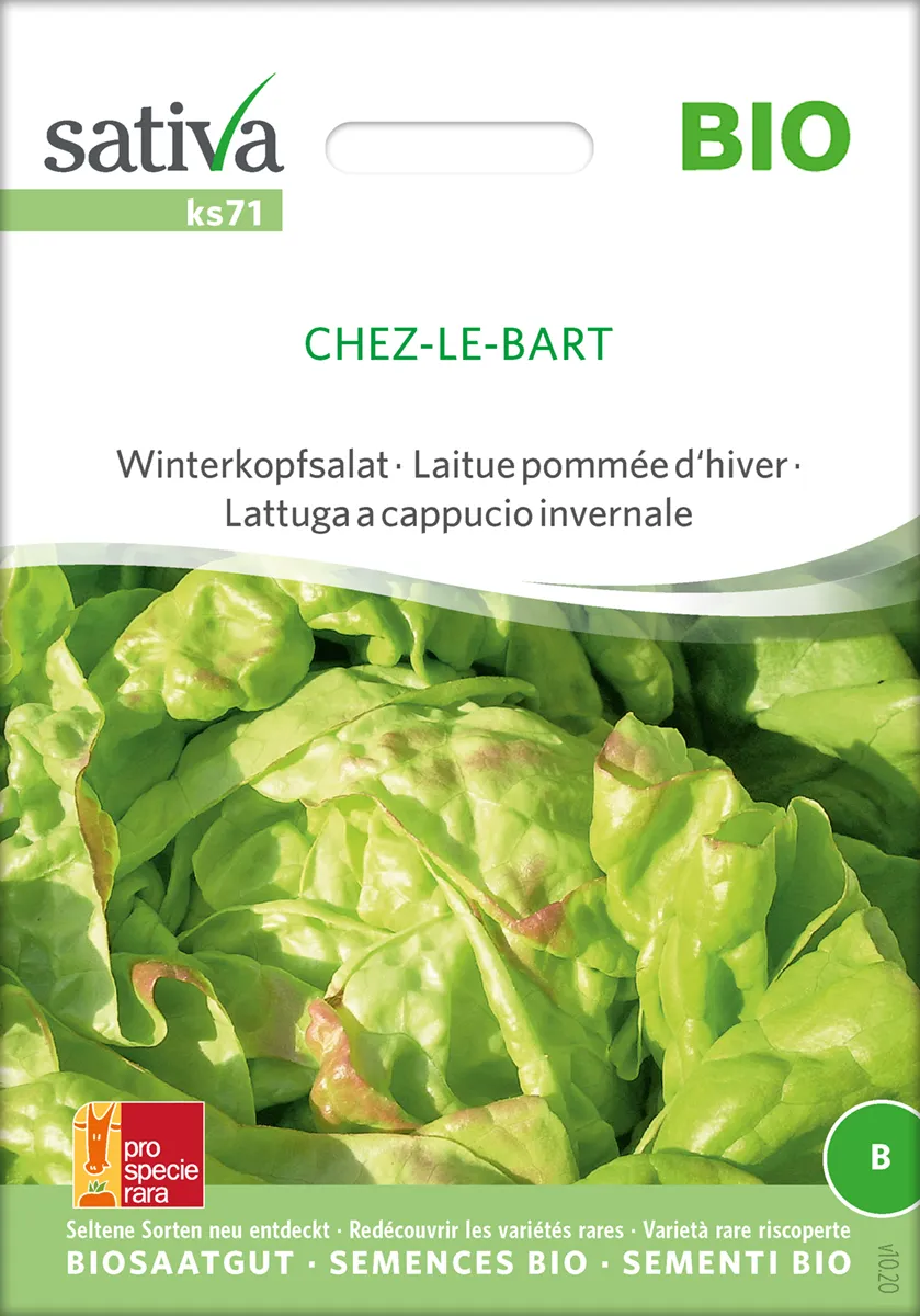 chez le bart Chez-Le-Bart Winterkopfsalat pro specie rara samen bio saatgut sativa kompost&liebe kaufen online shop