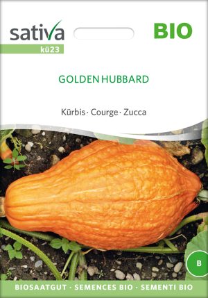 Golden Hubbard kürbis samen bio saatgut sativa kompost&liebe kaufen online shop