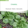 pro specie rara samen bio saatgut sativa kompost&liebe kaufen online shopEtampes Feldsalat nüsslisalat