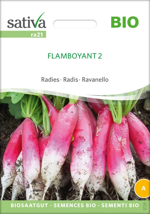 Radieschen Flamboyant 2 , pro specie rara samen bio saatgut sativa kompost&liebe kaufen online shop